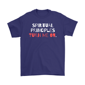 "Spiritual Principles Turn Me On." Unisex Recovery-Theme Tee - Purple