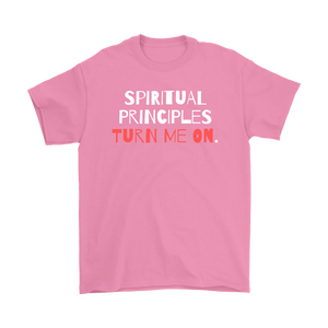 "Spiritual Principles Turn Me On." Unisex Recovery-Theme Tee - Pink